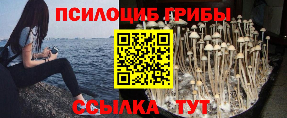 Галлюциногенные грибы Psilocybine cubensis Шали