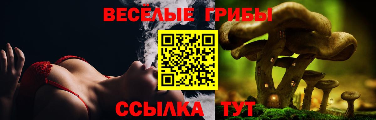 Псилоцибиновые грибы мицелий  Вход с VPN  Шали 